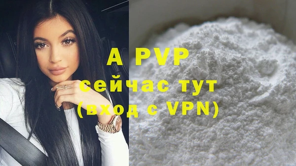 дмт Белокуриха